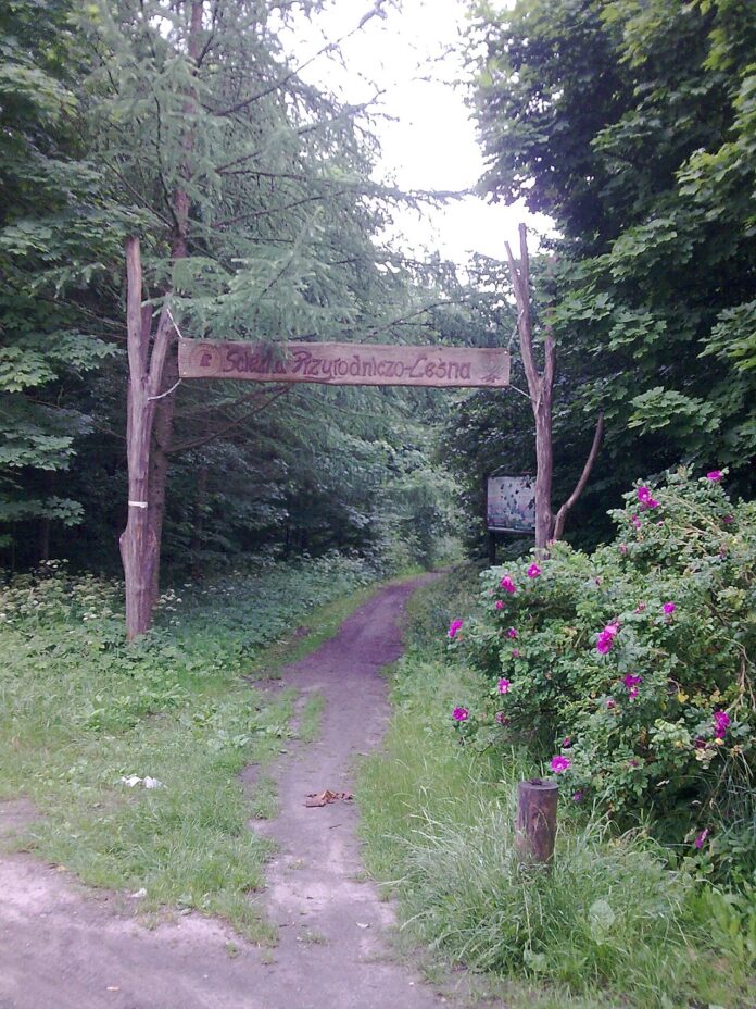 ZSO nr 2 w Kartuzach ma już dwa oddziały mundurowe. Naukę zaczęło 30 uczniów