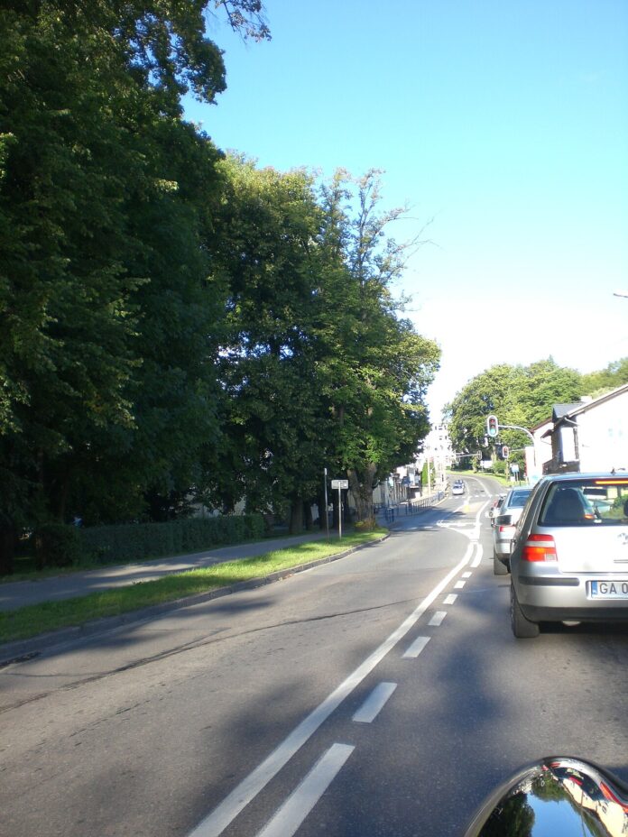 Ogród deszczowy przy szkole w Baninie otwarty dla uczniów